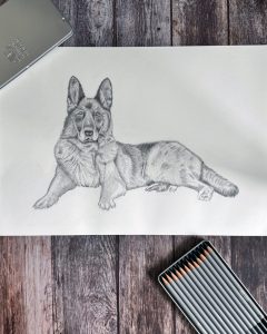 ronja post